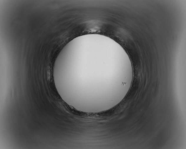 X0000086731442200705041338