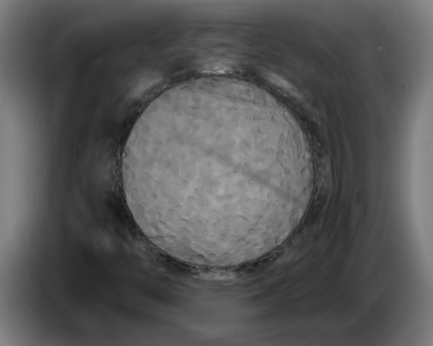 X0000086731446200705041338