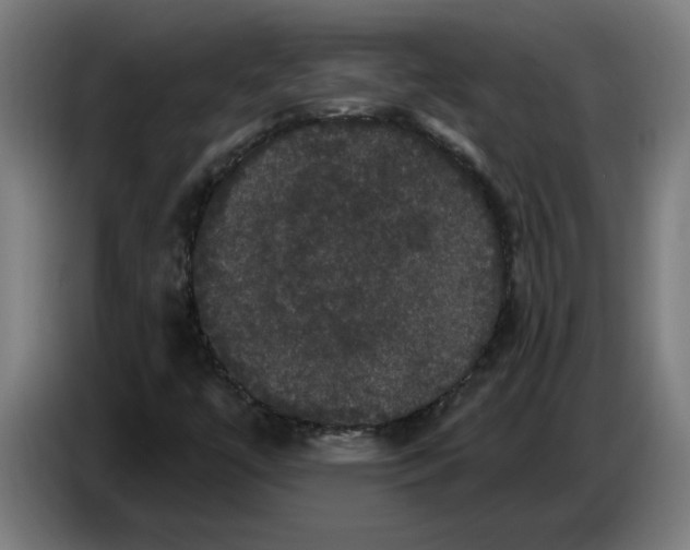 X0000086731447200705041338