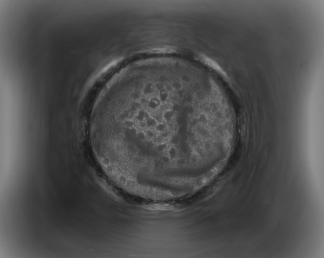 X0000086731448200705041338