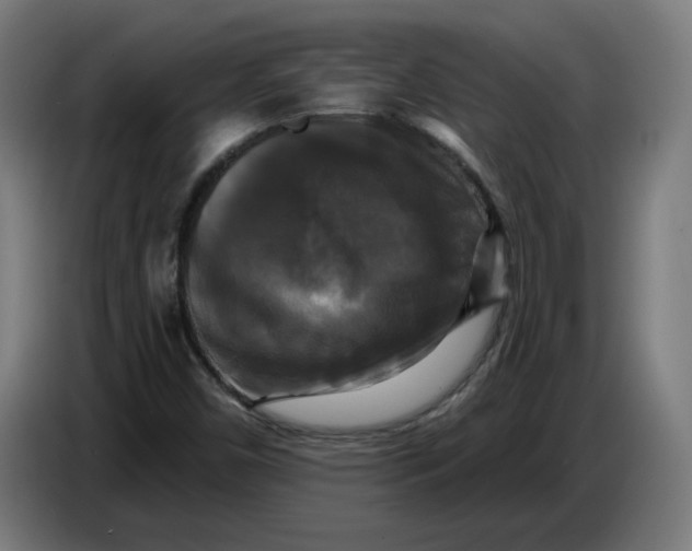 X0000086731450200705041338