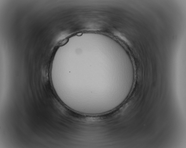 X0000086731451200705041338