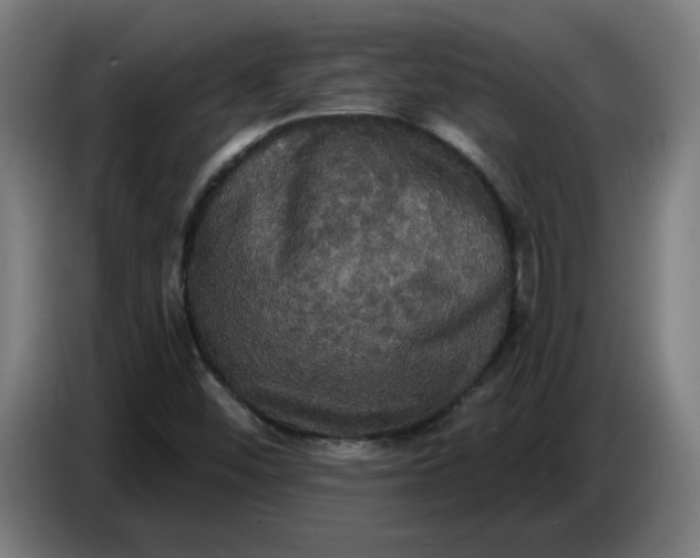 X0000086731452200705041338