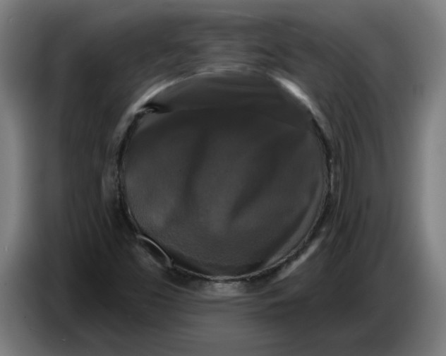 X0000086731453200705041338