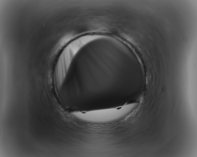 X0000086731455200705041338