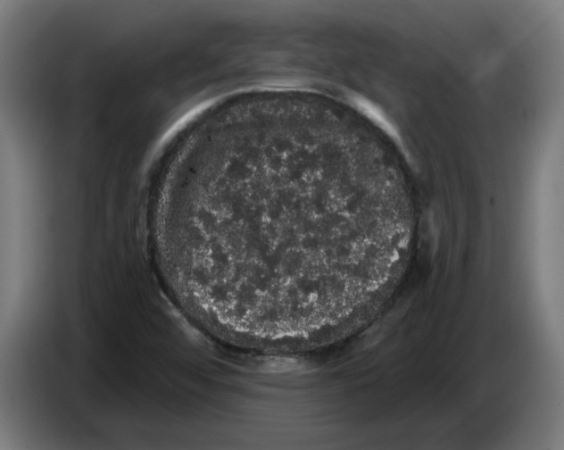 X0000086731456200705041338