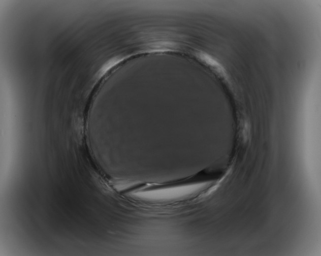 X0000086731457200705041338