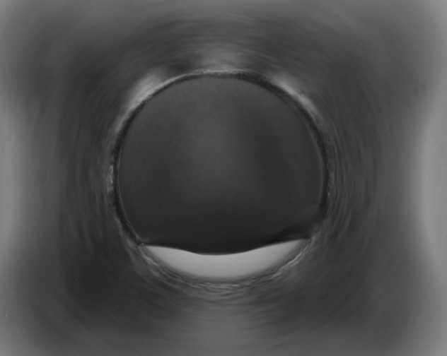 X0000086731459200705041338