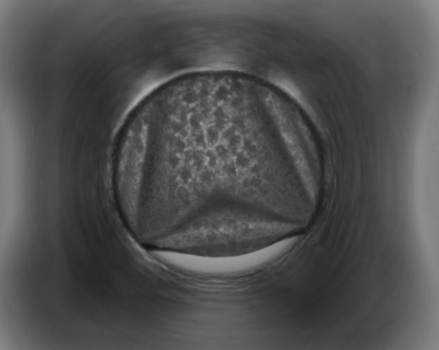 X0000086731460200705041338