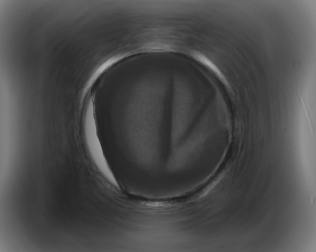 X0000086731461200705041338