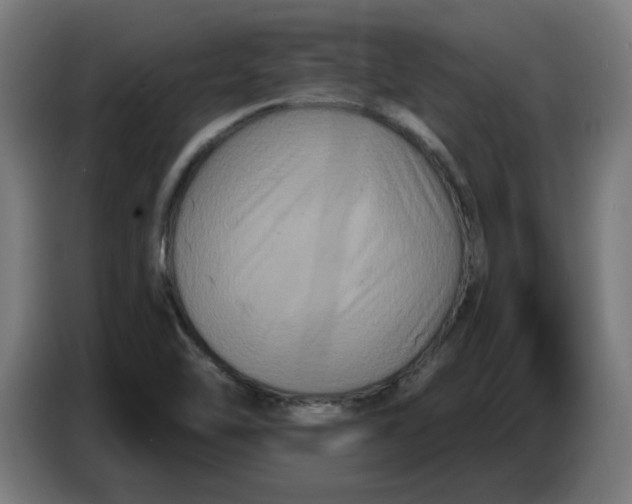 X0000086731462200705041338