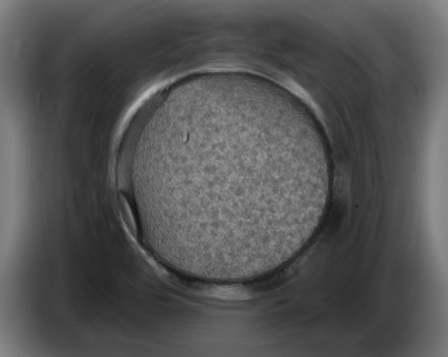 X0000086731464200705041338