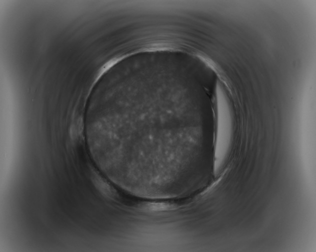 X0000086731465200705041338