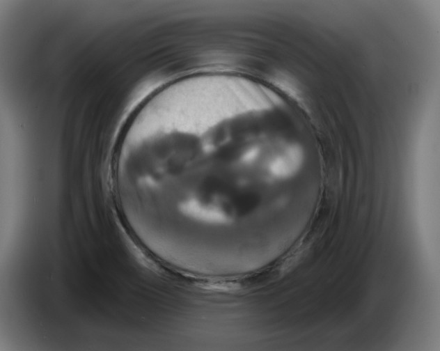 X0000086731466200705041338