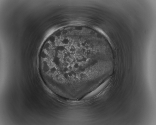 X0000086731467200705041338