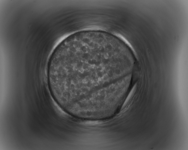 X0000086731468200705041338