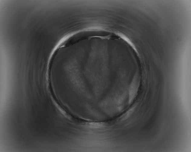 X0000086731469200705041338