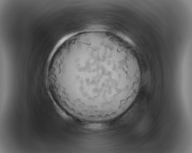 X0000086731470200705041338