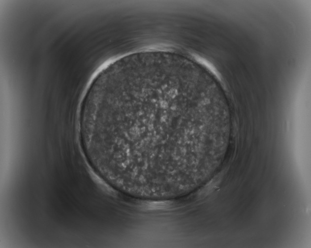 X0000086731471200705041338