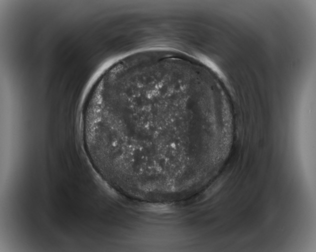 X0000086731472200705041338