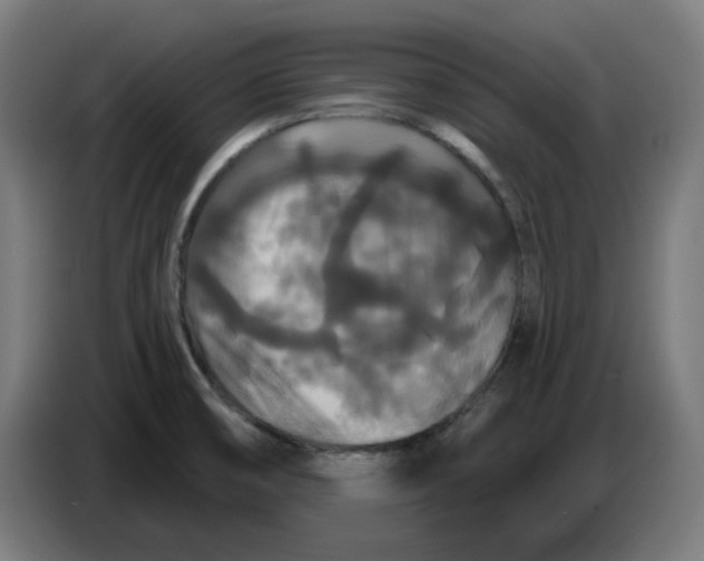 X0000086731474200705041338