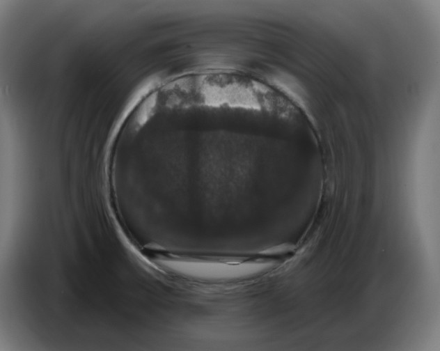 X0000086731475200705041338