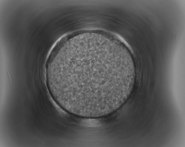 X0000086731476200705041338