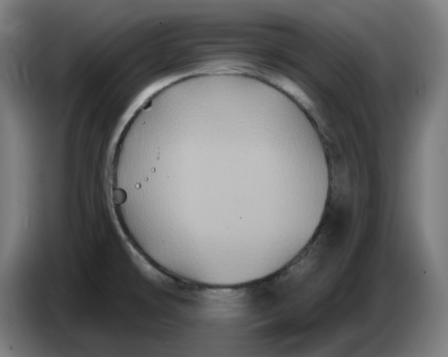 X0000086731478200705041338