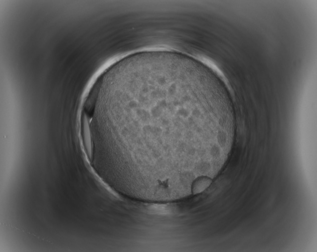 X0000086731480200705041338