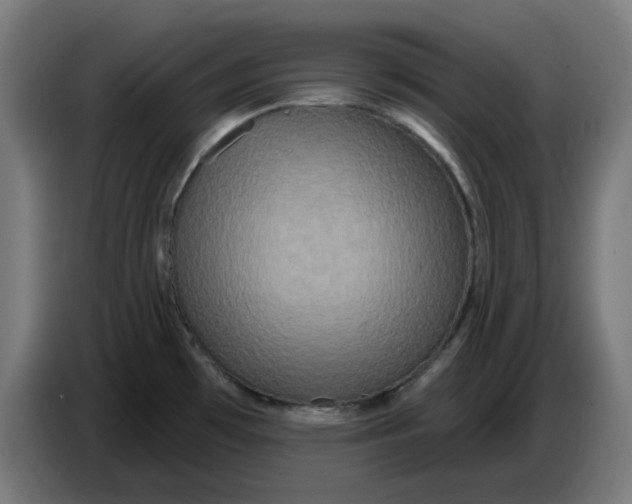 X0000086731481200705041337