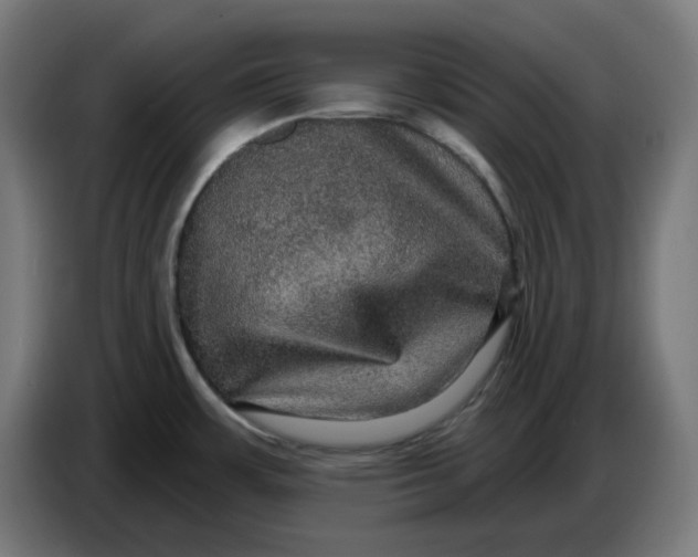 X0000086731483200705041337