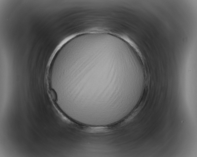 X0000086731486200705041337