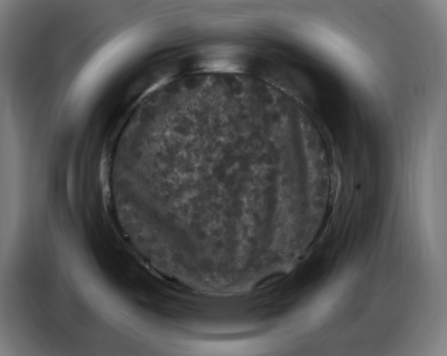 X0000086731487200705041337