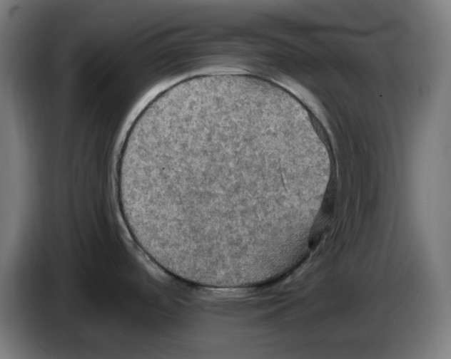 X0000086731488200705041337