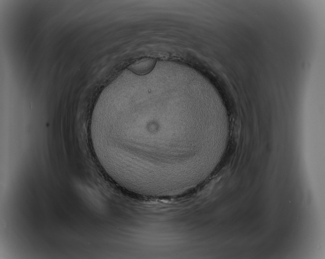 X0000086731489200705041337