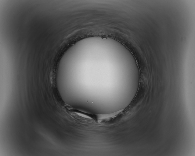 X0000086731490200705041337