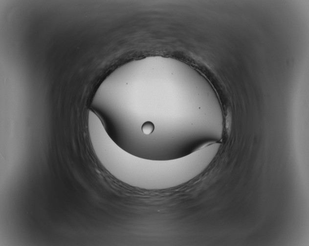 X0000086731492200705041337