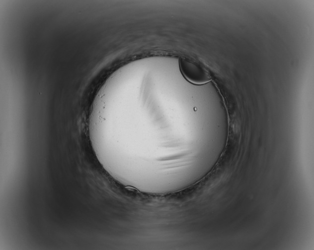 X0000086731495200705041337