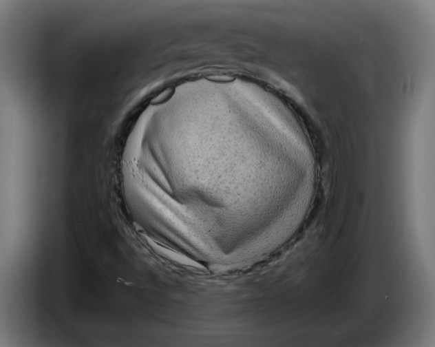 X0000086731496200705041337