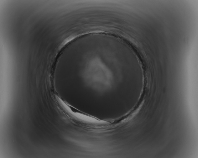 X0000086731497200705041337