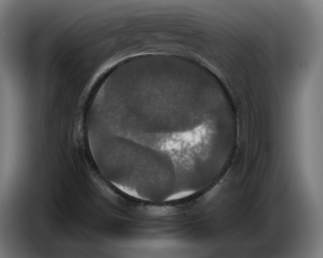 X0000086731498200705041337