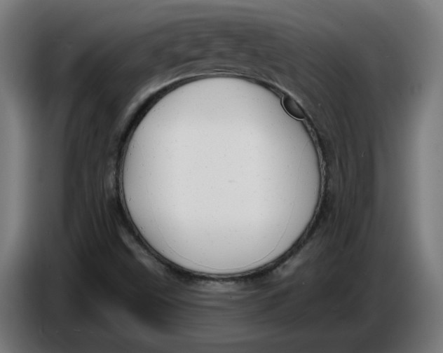 X0000086731499200705041337