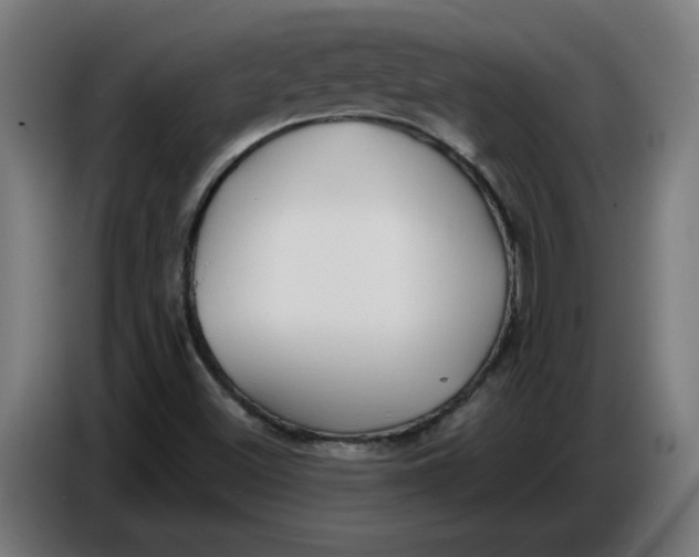 X0000086731500200705041337