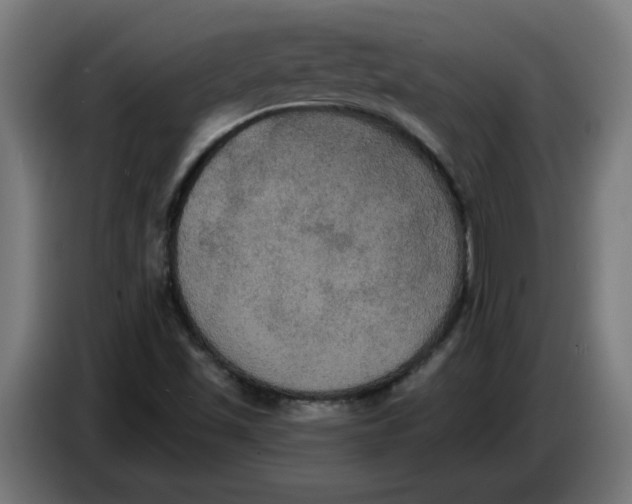 X0000086731501200705041337