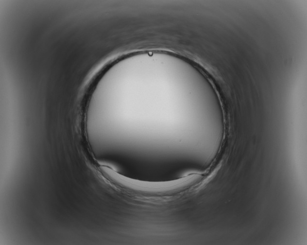 X0000086731502200705041337