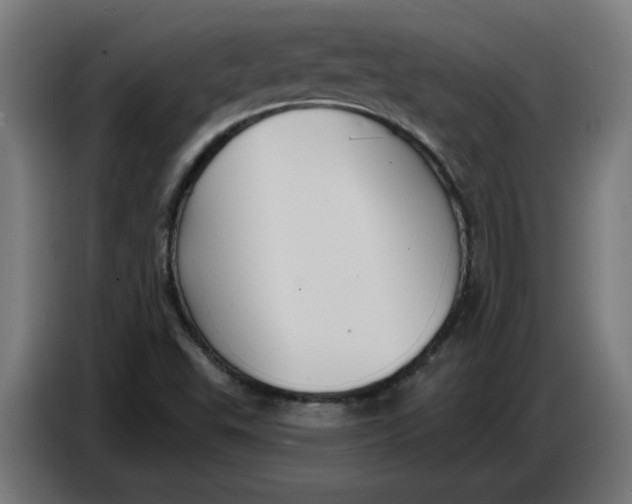 X0000086731503200705041337