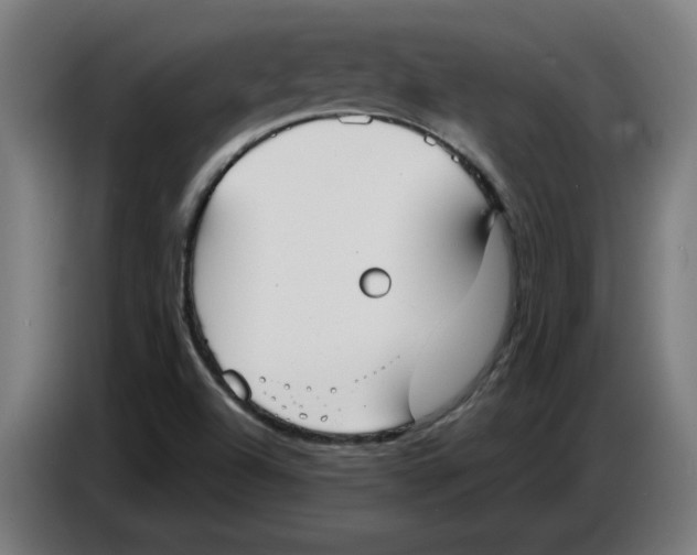 X0000086731504200705041337