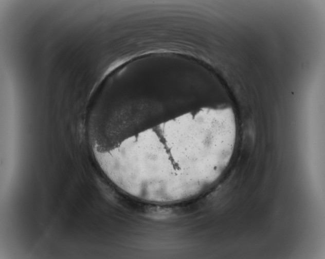 X0000086731505200705041337