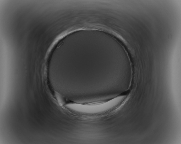 X0000086731506200705041337