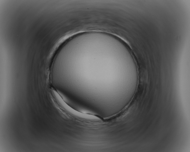 X0000086731507200705041337